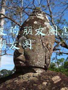 别人发的朋友圈怎么转发到朋友圈