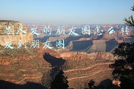 别人发的朋友圈怎么转发到朋友圈