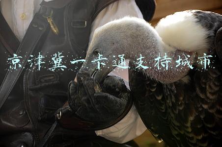 京津冀一卡通支持城市
