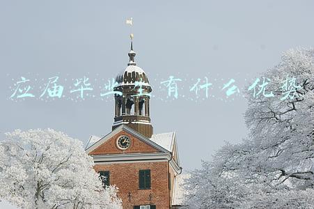 应届毕业生有什么优势