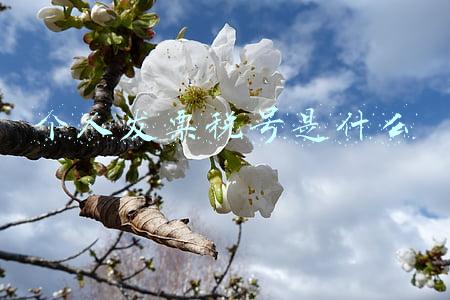 开发票个人税号(对于自然人客户，税号怎么填？)