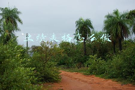 业绩表格怎么做