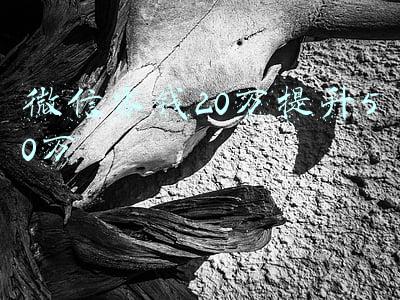微信零钱20万提升50万