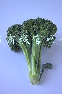 茅台商城官网首页