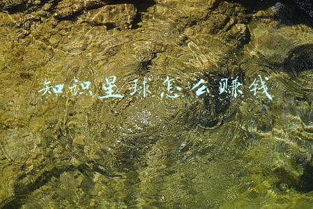 知识星球怎么赚钱