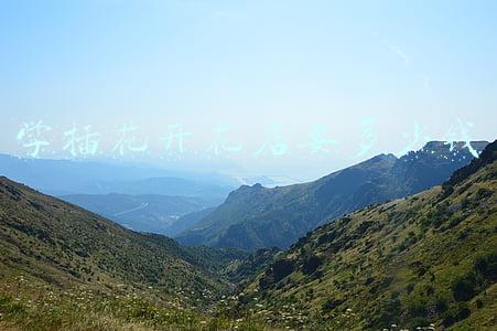 学插花开花店要多少钱