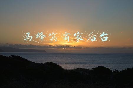 马蜂窝商家后台