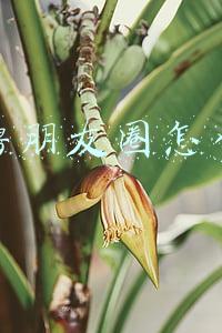 招聘朋友圈怎么发