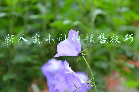 销售新人培训流程(阿里新员工入职3个月详细培训计划表，很好的参考)