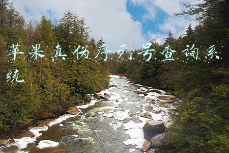 苹果真伪序列号查询系统
