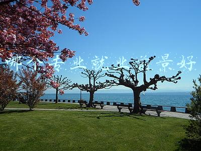 哪个专业就业前景好