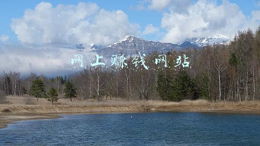 网上赚钱网站