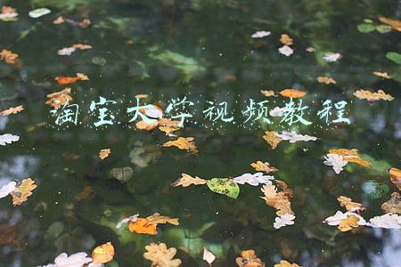 淘宝大学视频教程