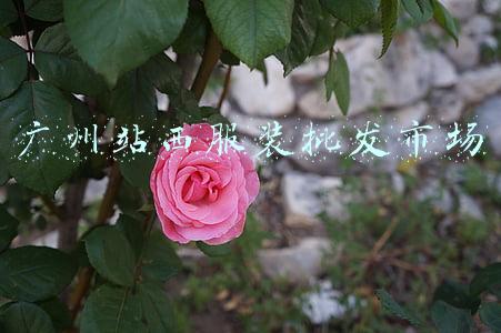 广州站西服装批发市场