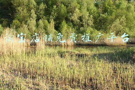 淘宝店铺免费推广平台