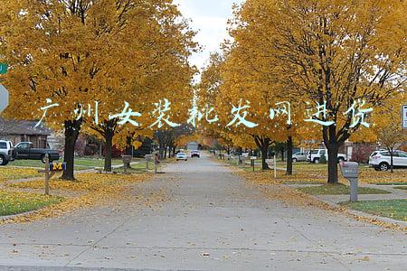 广州女装批发网进货