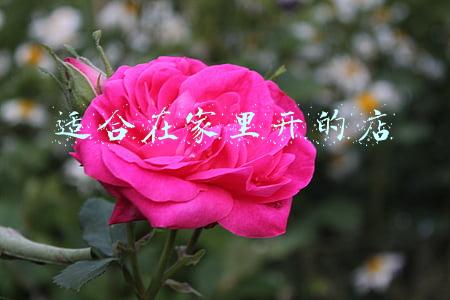 适合在家里开的店