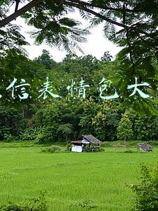 微信表情包大全