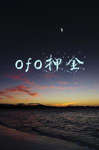 ofo押金