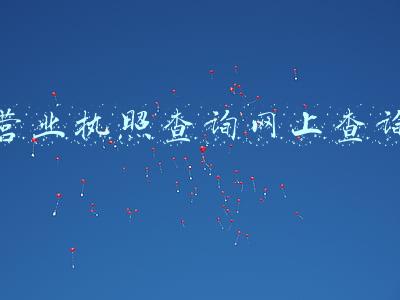 营业执照查询网上查询