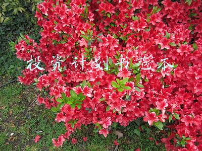 投资计划书范本
