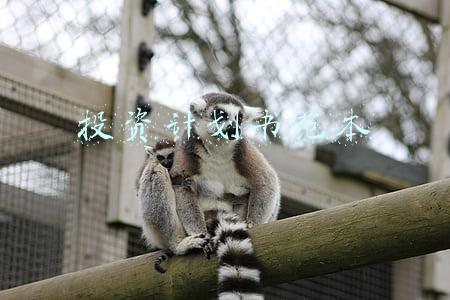 投资计划书范本