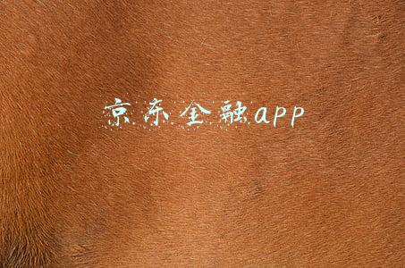 京东金融app