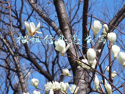 厂房出租 仓库 招租信息怎么写(仓库租赁协议书)