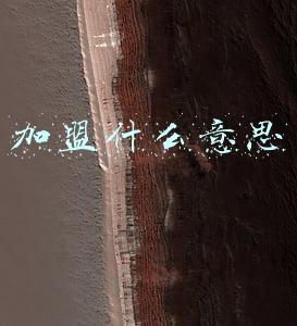 加盟什么意思