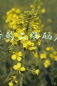 公众号的二维码在哪里