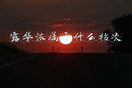露华浓属于什么档次