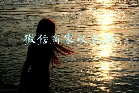 微信商家收款码