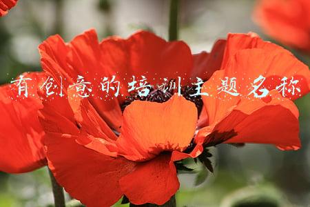 有创意的培训主题名称对仗工整(工整对仗的小标题20例，笔杆子请笑纳)