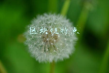 区块链特点