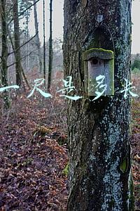 一尺是多长