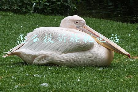 怎么投诉骚扰电话