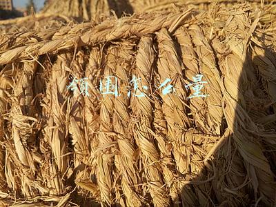 领围怎么量