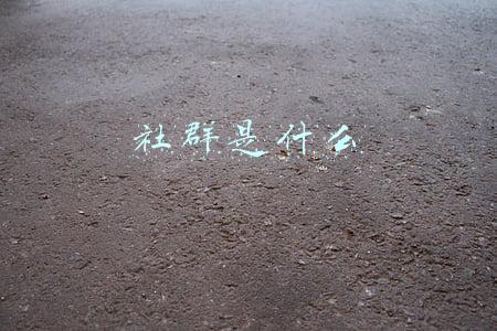 社群是什么