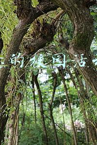 有创意的校园活动点子
