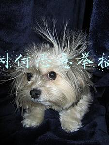 怎样对付恶意举报的人