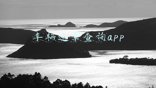 车辆违章查询app
