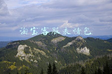 淘宝客服表情包