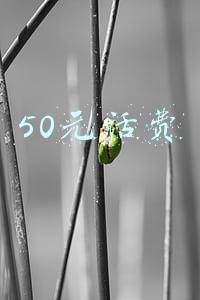 50元话费