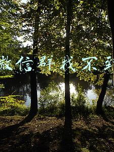微信群找不到
