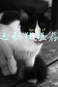 运动鞋推荐