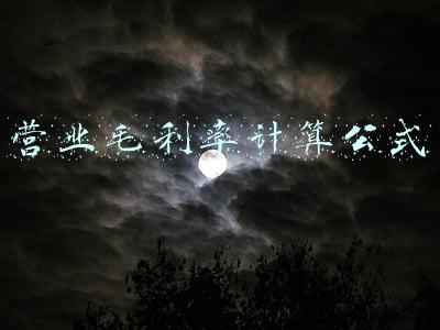 营业毛利率计算公式