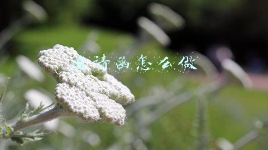 邀请函怎么做