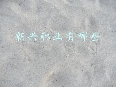 新兴职业有哪些