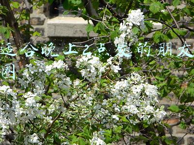 适合晚上2点发的朋友圈