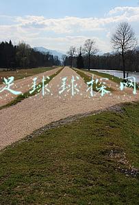 足球球探网